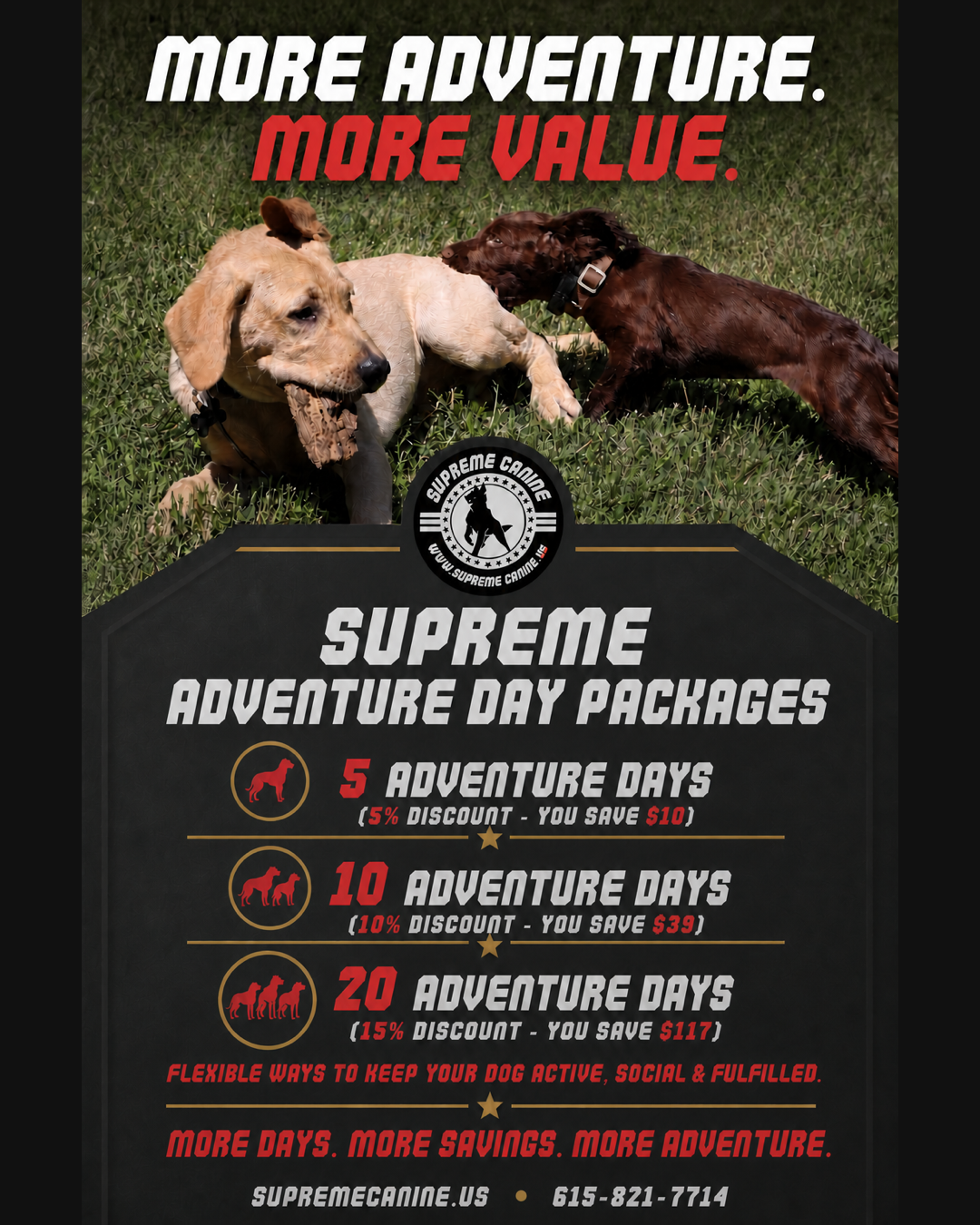 Dogs playing — Adventure Day packages at Supreme Canine